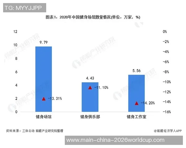 国内体育器材市场发展现状与未来趋势分析及投资机会探讨